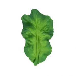 Cheap Oli & Carol - Chewable Toy, Kendall The Kale - cutbabycare.com | baby boutique & care hub Bath Potty