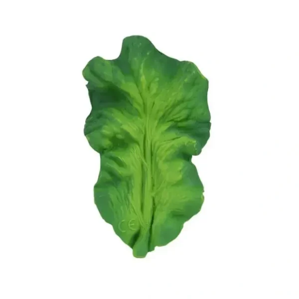 Cheap Oli & Carol - Chewable Toy, Kendall The Kale - cutbabycare.com | baby boutique & care hub Bath Potty