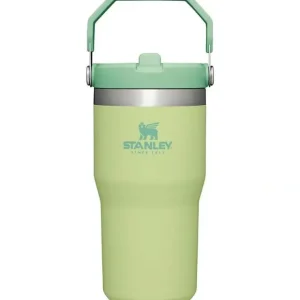 Clearance Stanley - 20Oz IceFlow Stainless Steel Tumbler with Straw, Citron - cutbabycare.com | baby boutique & care hub Gear Travel