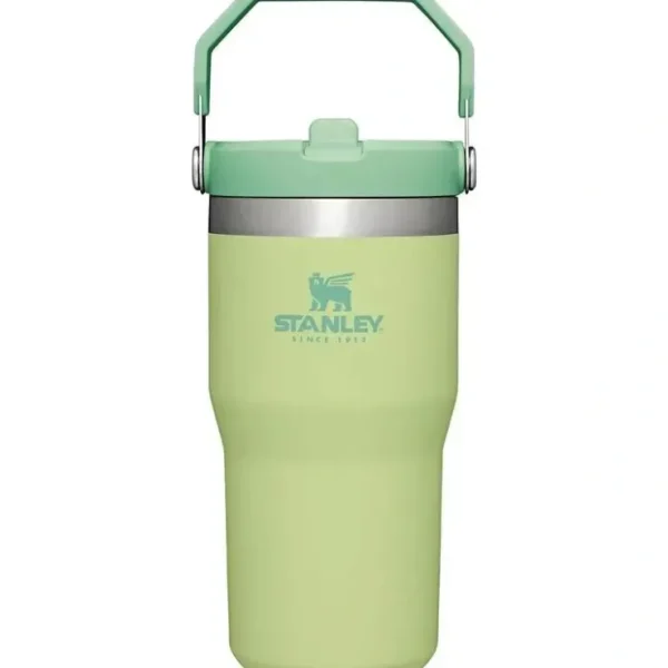 Clearance Stanley - 20Oz IceFlow Stainless Steel Tumbler with Straw, Citron - cutbabycare.com | baby boutique & care hub Gear Travel