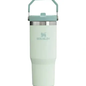 Hot Stanley - 30Oz IceFlow Stainless Steel Tumbler with Straw, Mist - cutbabycare.com | baby boutique & care hub Gear Travel