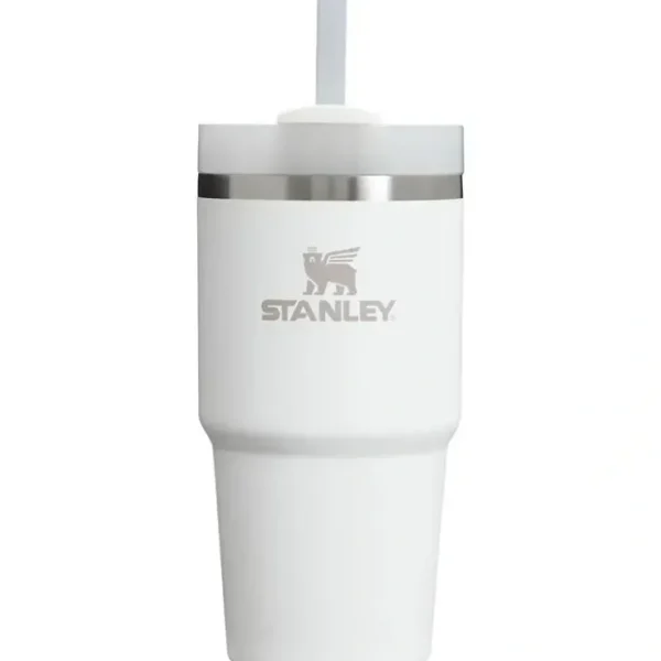 Flash Sale Stanley - 20Oz Quencher H2.0 FlowState Stainless Steel Vacuum Insulated Tumbler, Frost - cutbabycare.com | baby boutique & care hub Gear Travel