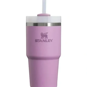 Online Stanley - 20Oz Quencher H2.0 FlowState Stainless Steel Vacuum Insulated Tumbler, Lilac - cutbabycare.com | baby boutique & care hub Gear Travel