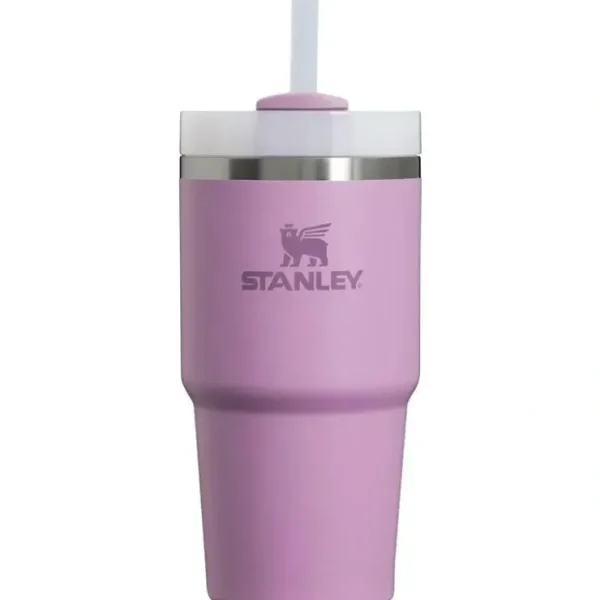 Online Stanley - 20Oz Quencher H2.0 FlowState Stainless Steel Vacuum Insulated Tumbler, Lilac - cutbabycare.com | baby boutique & care hub Gear Travel