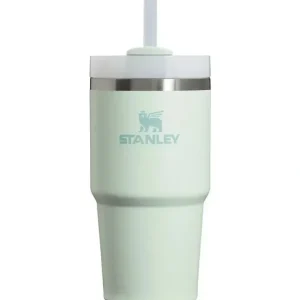 Fashion Stanley - 20Oz Quencher H2.0 FlowState Stainless Steel Vacuum Insulated Tumbler, Mist - cutbabycare.com | baby boutique & care hub Gear Travel