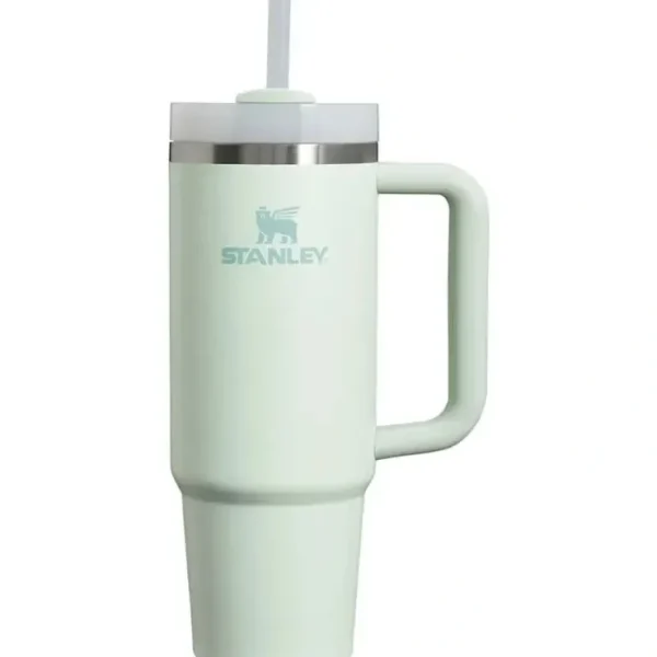 Fashion Stanley - Quencher H2.0 FlowState Stainless Steel Vacuum Insulated Tumbler, 30 oz, Mist - cutbabycare.com | baby boutique & care hub Gear Travel