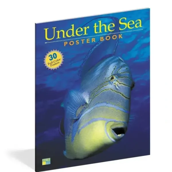 Cheap Workman Publishing Pbs Kids Under The Sea Book - cutbabycare.com | baby boutique & care hub Shop All